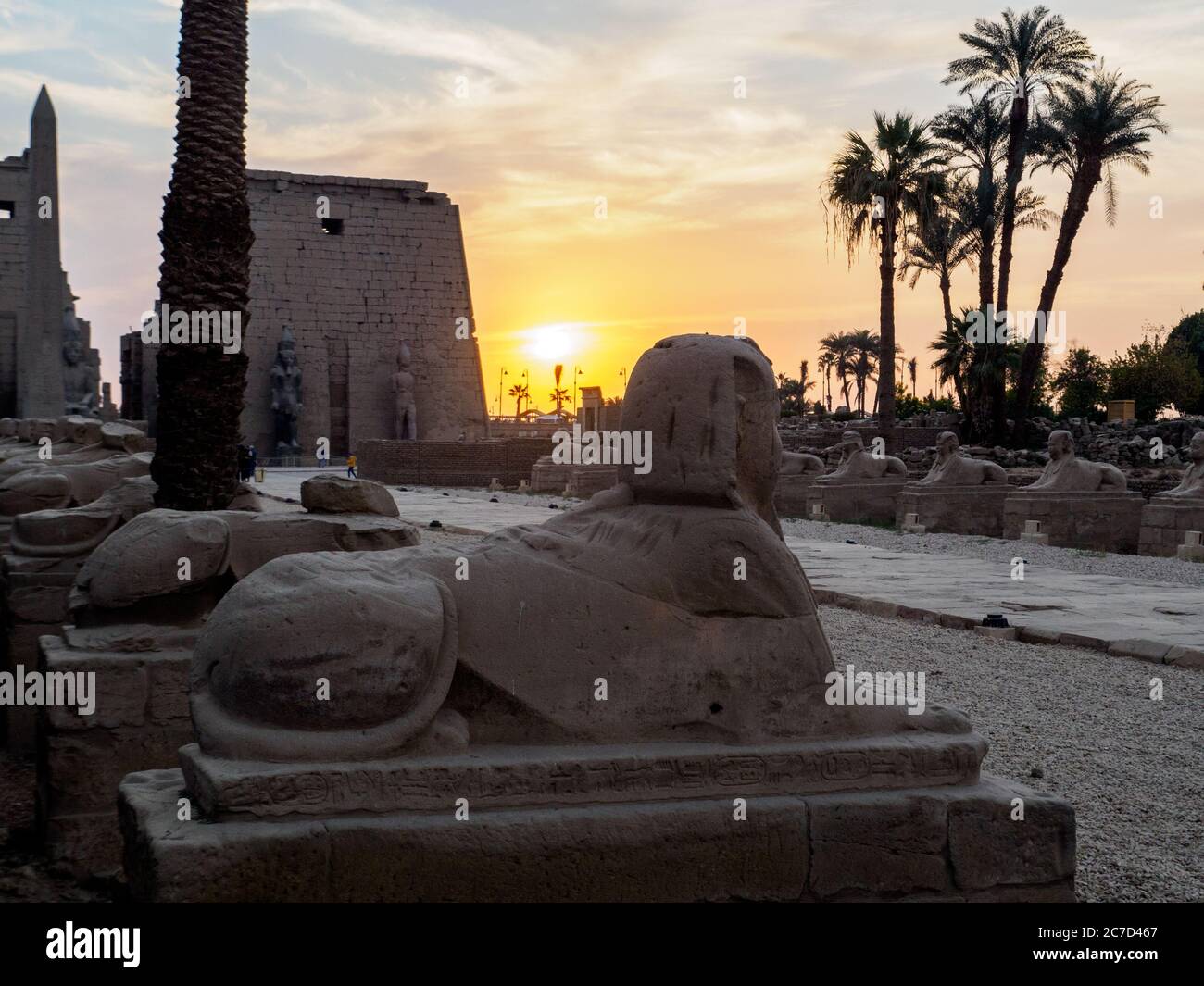 sphinxes in front of luxor temple at sunset Stock Photo