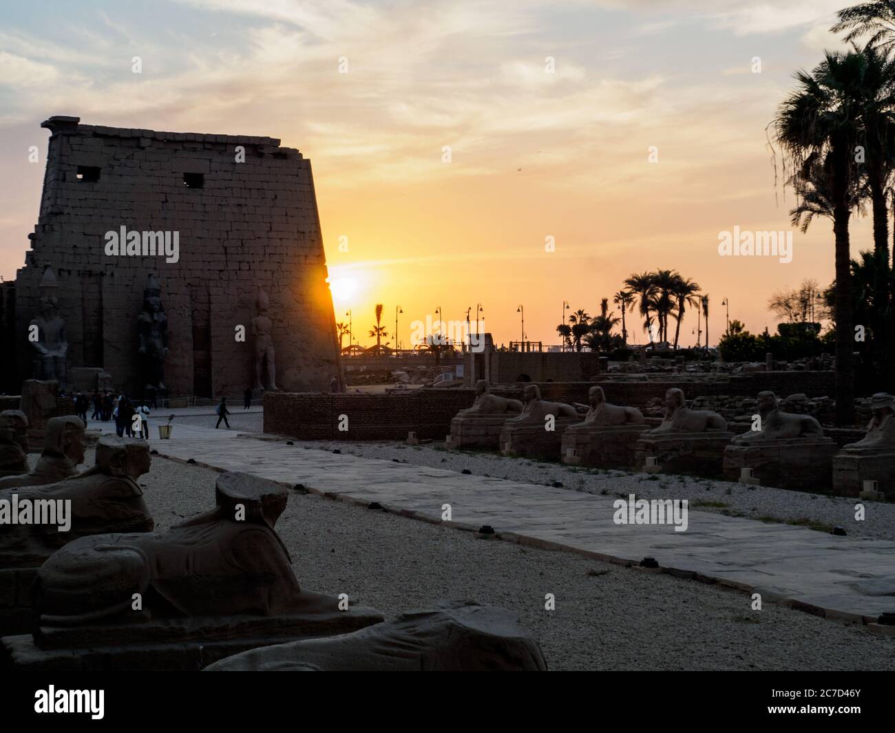 alley of sphinxes at luxor temple at sunset Stock Photo