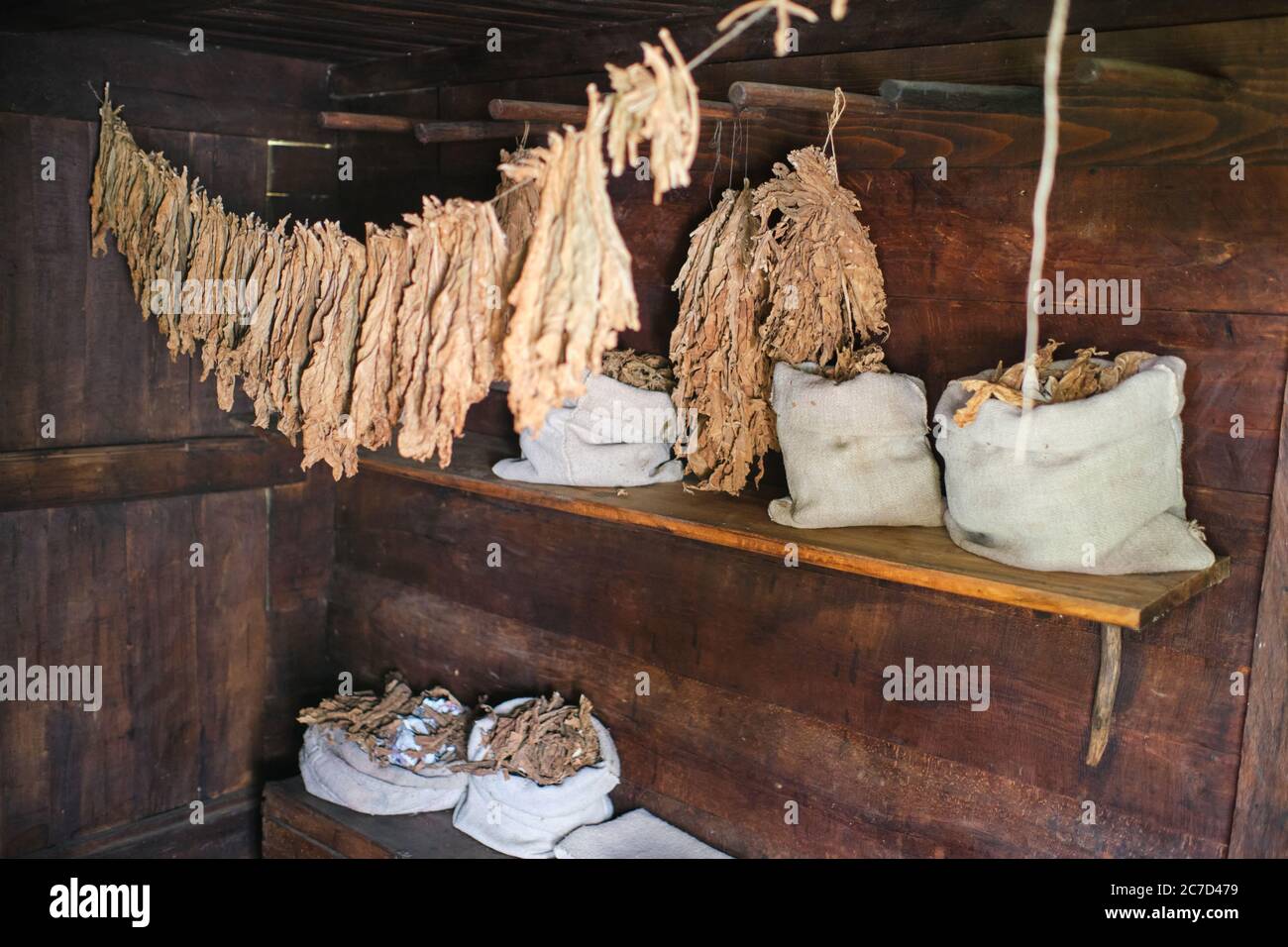 Serbian tobacco hi-res stock photography and images