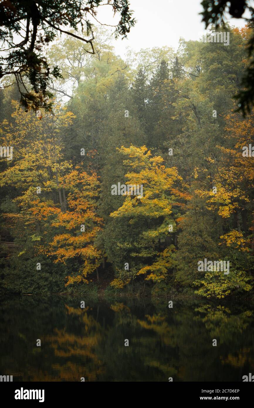 Fall change changing colour hi-res stock photography and images - Alamy