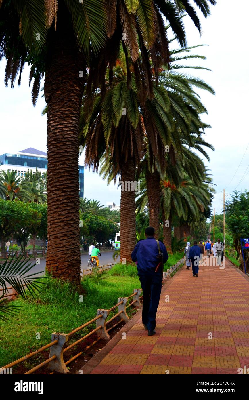 Bahir Dar city, Ethiopia Stock Photo - Alamy