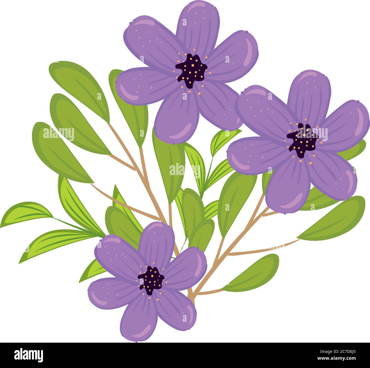 purple flowers with leaves vector design Stock Vector Image & Art - Alamy