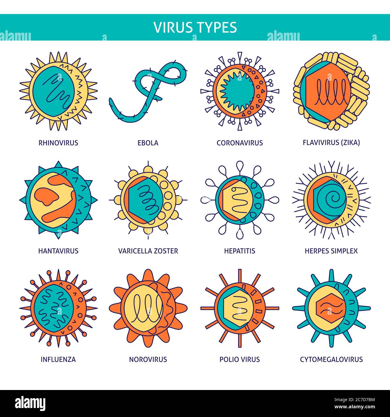 List Human Viruses