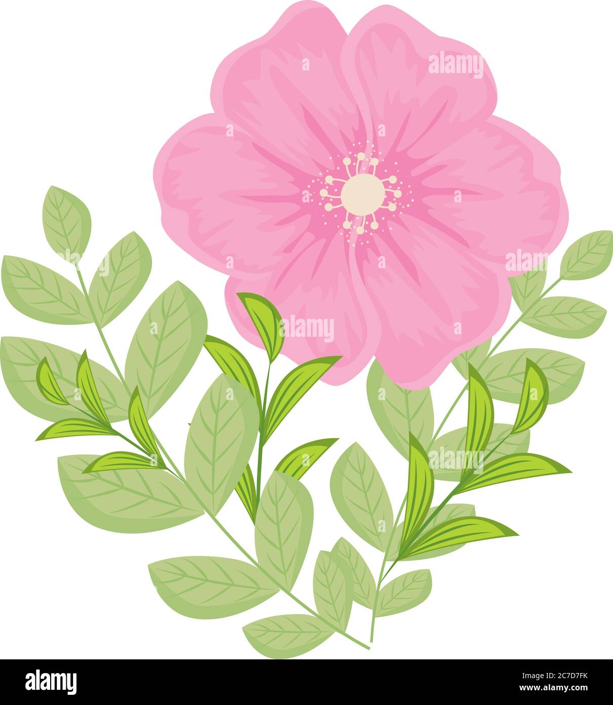 pink flower with leaves vector design Stock Vector Image & Art - Alamy
