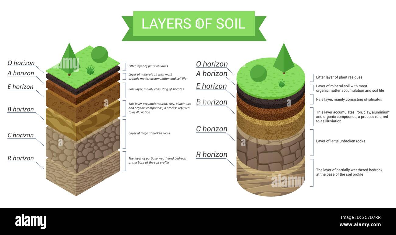 Education diagram and detailed description of soil layers. Plant residue, green grass, fine mineral particles, sand,clay, humus and stones vector illustration Stock Vector