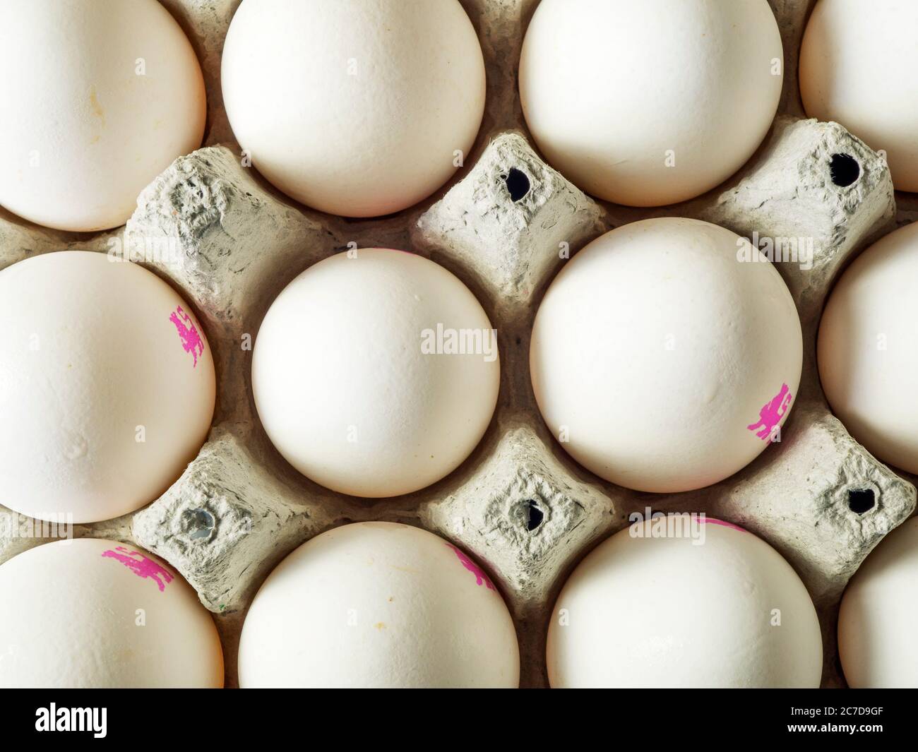 A tray of white eggs from above Stock Photo