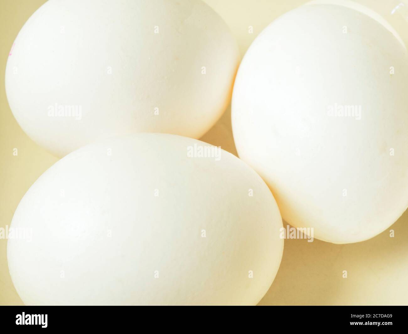Close up of three white eggs in a bowl Stock Photo