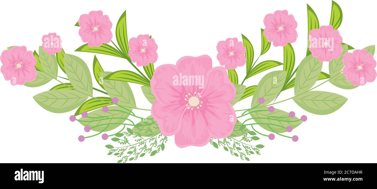 pink flowers with leaves vector design Stock Vector Image & Art - Alamy