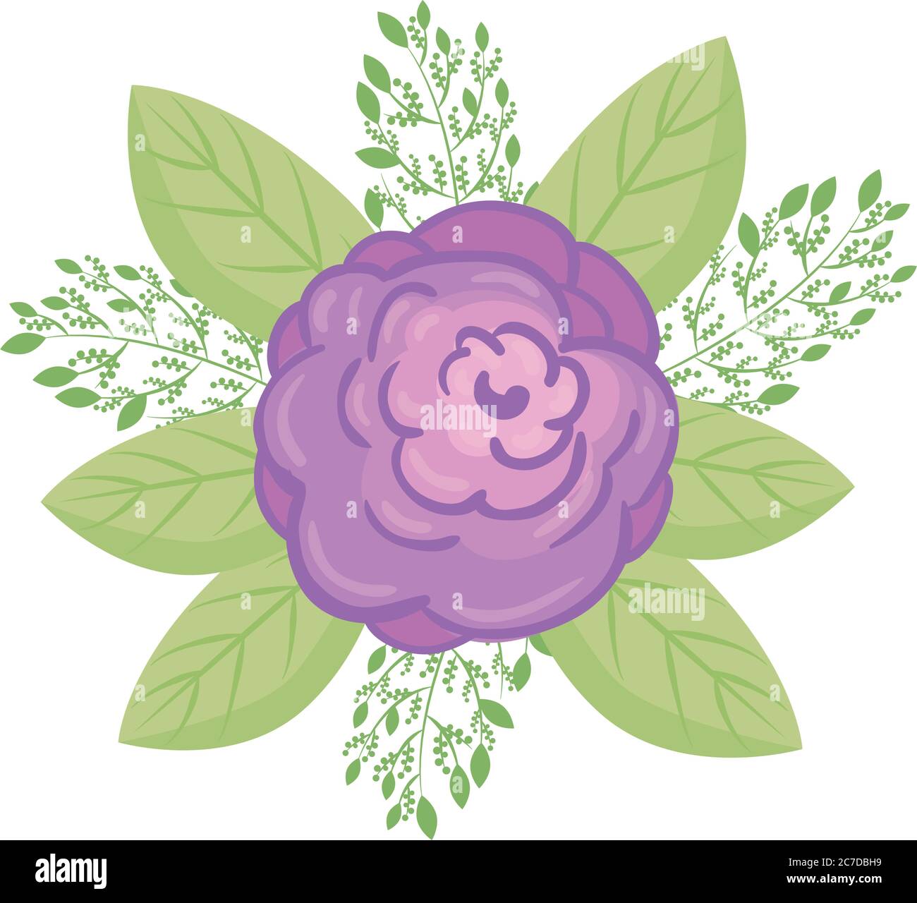 purple flower with leaves vector design Stock Vector Image & Art - Alamy