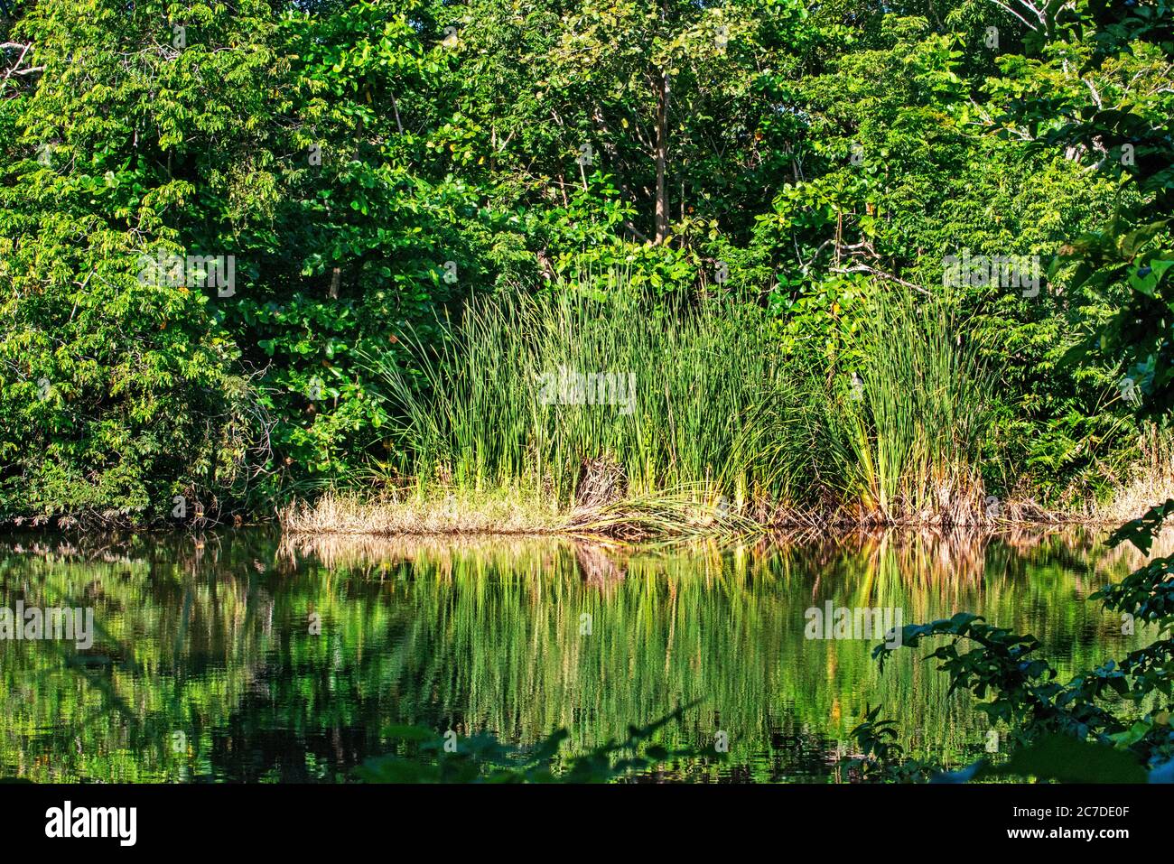 River in Puerto Barillas in Jiquilisco Bay in Gulf of Fonseca Pacific ...