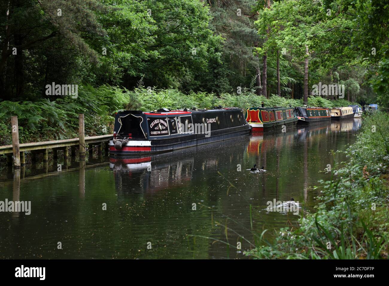 Boats moored along the beautiful Basingstoke Canal at Mytchett in