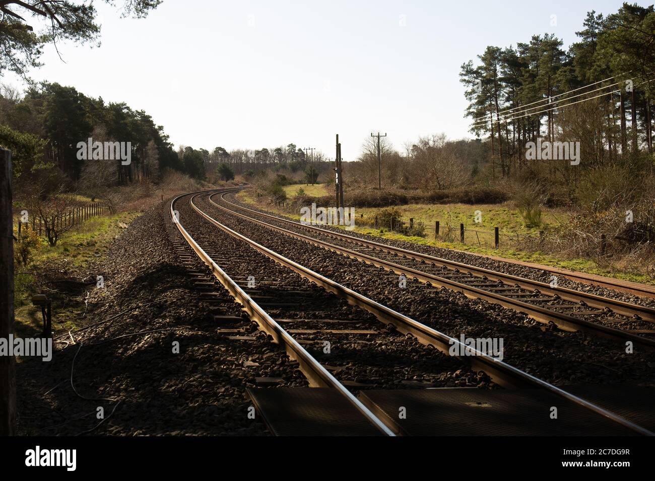 Train tracks curving away to right through forest, no people in view Stock Photo