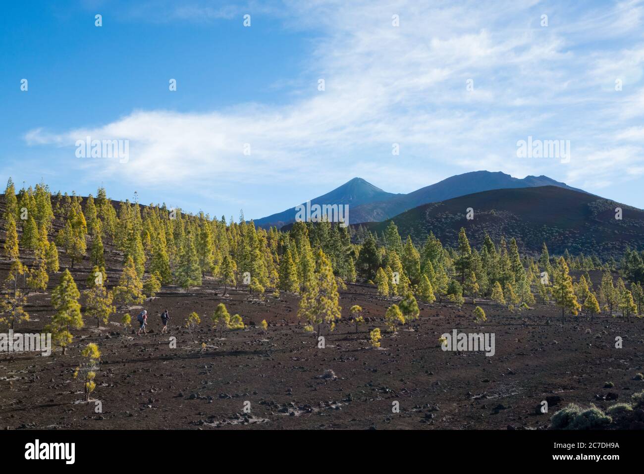 Hiking up Mount Teide in Tenerife, Canary Islands, Spain Stock Photo
