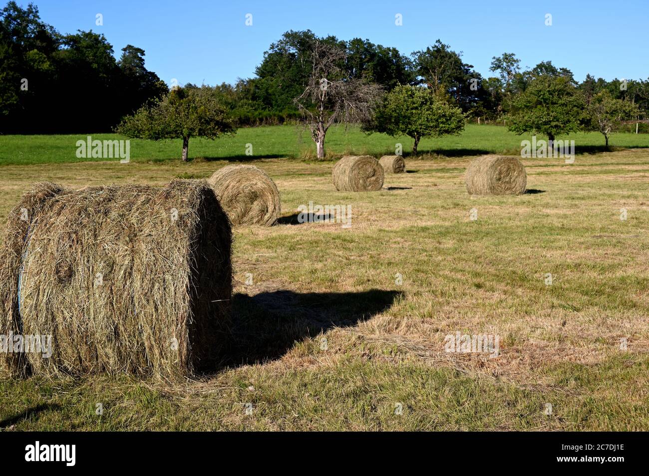 Haystacks with shadow hi-res stock photography and images - Alamy