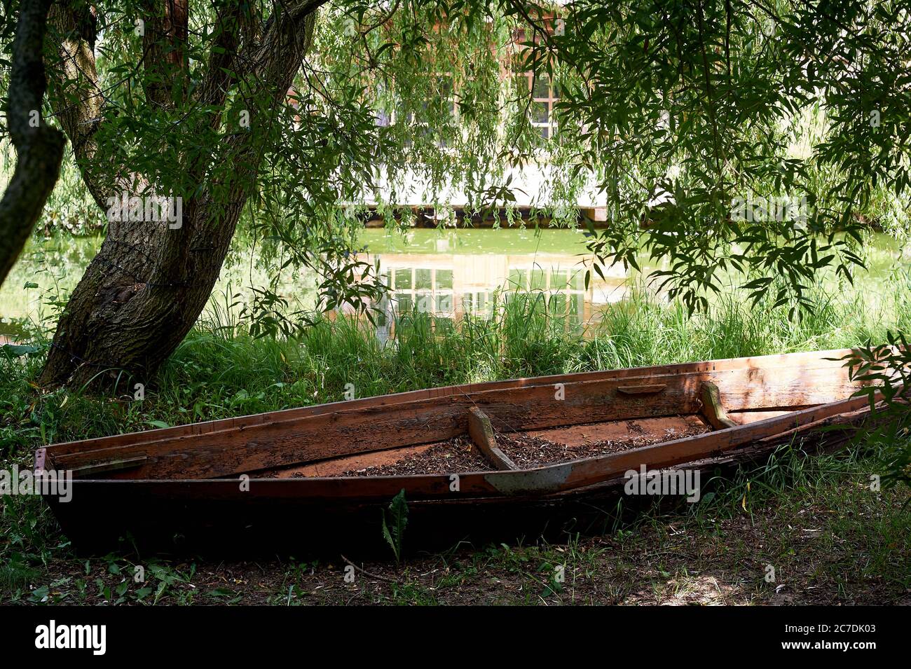 An old wooden boat lies on the shore of the lake. Branches of willow ...