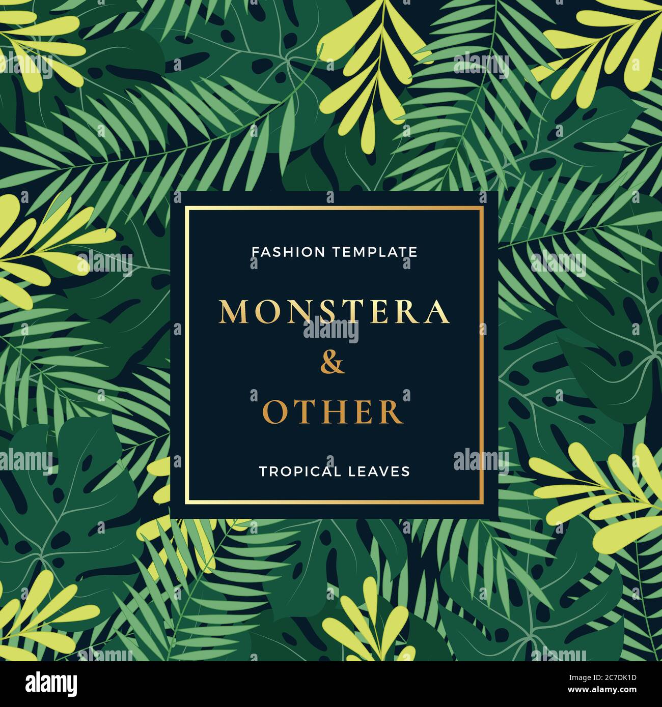 Tropical Forest Leaves Abstract Vector Banner or Invitation Template ...