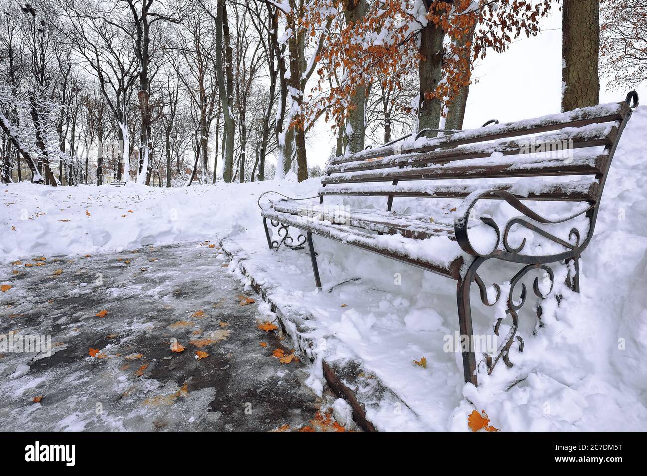 Park bench and trees covered by heavy snow. Lots of snow Stock Photo ...