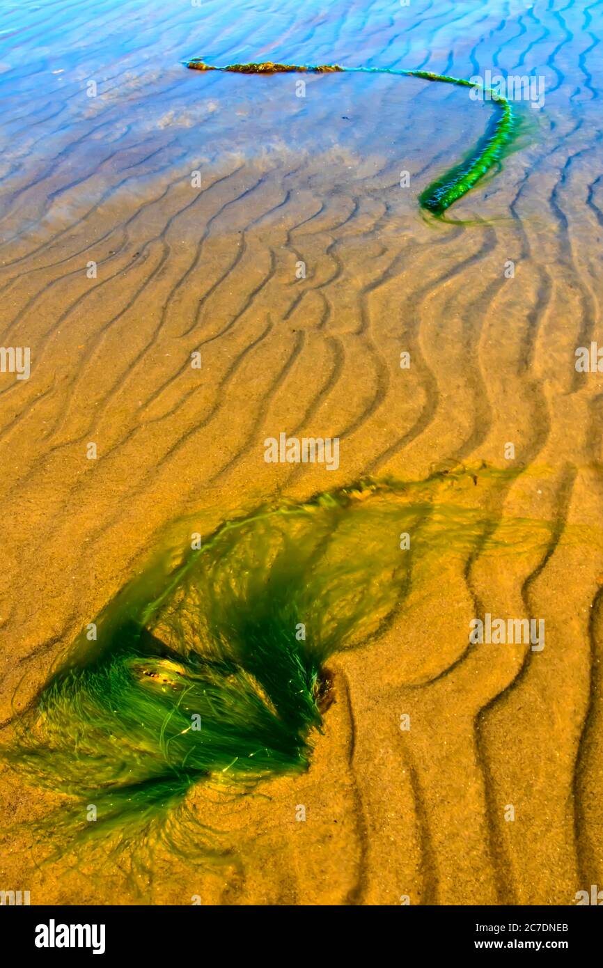 Wave, sand and sea. Nature background