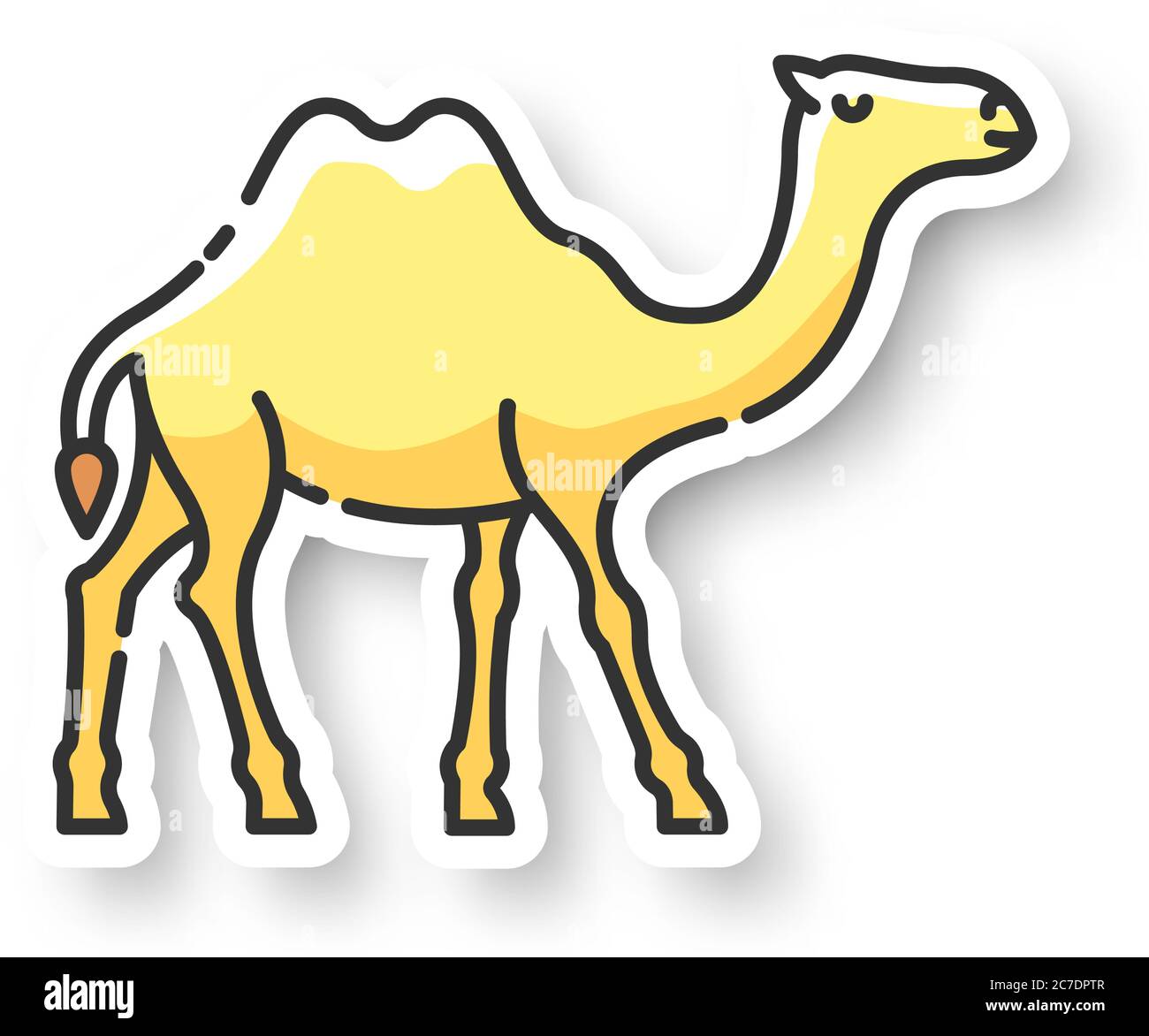 Camel patch. Arabian domesticated animal, tropical climate fauna ...