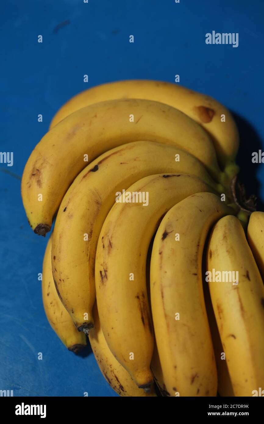 Vertical closeup of a banana hand with ripe yellow bananas on a blue table Stock Photo