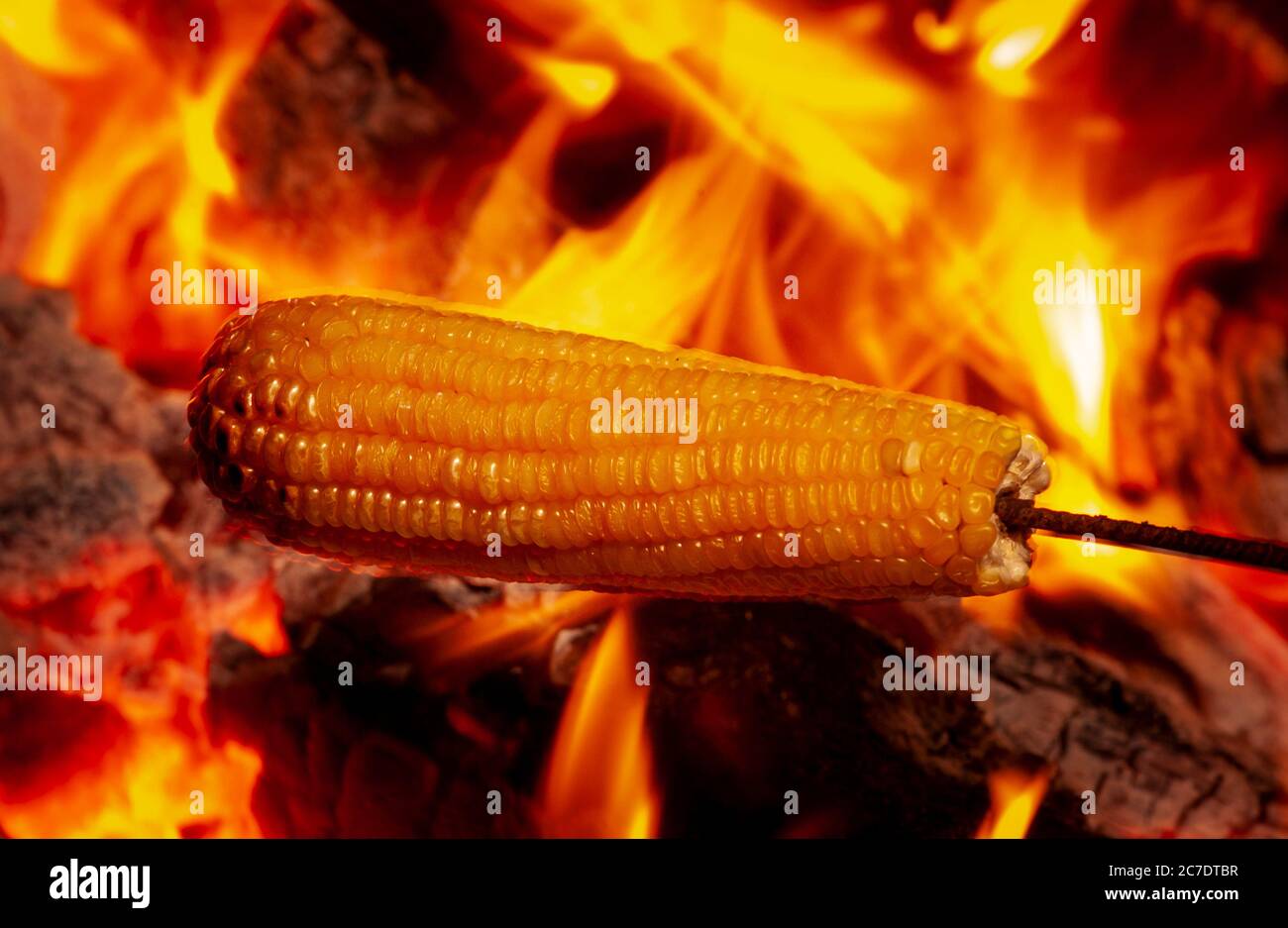 Corn roasted in the bonfire of the festival of sao joao Stock Photo - Alamy