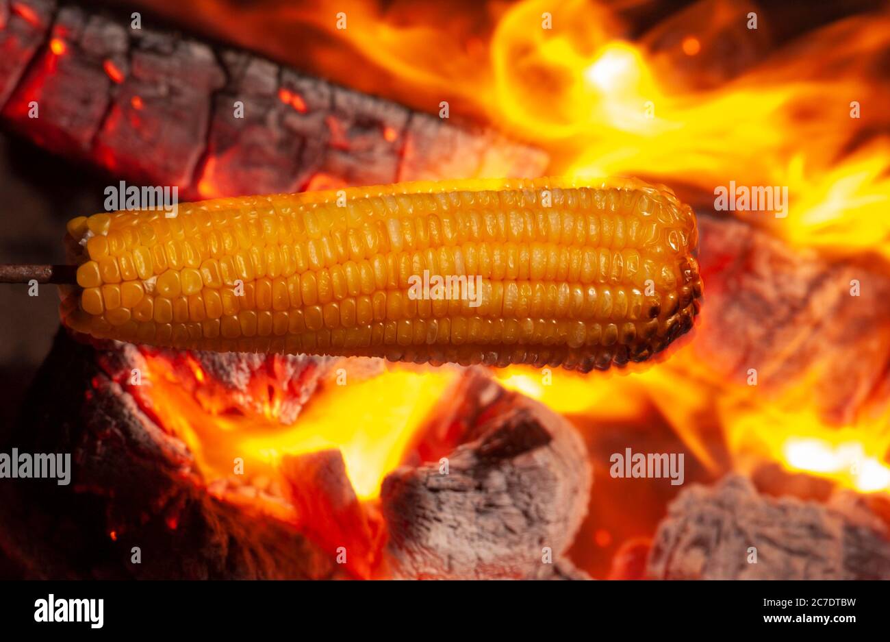Corn roasted in the bonfire of the festival of sao joao Stock Photo - Alamy