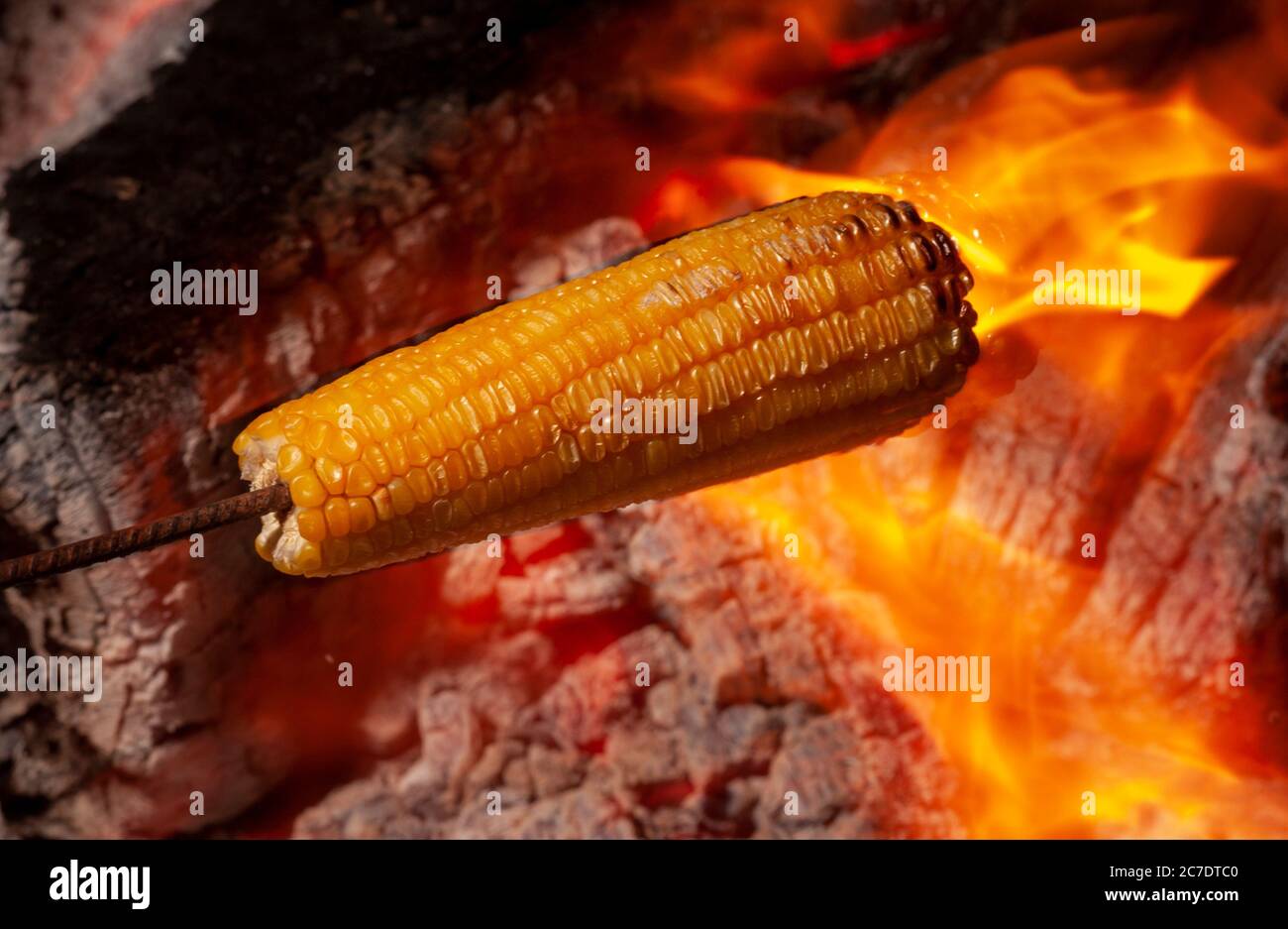 Corn roasted in the bonfire of the festival of sao joao Stock Photo - Alamy