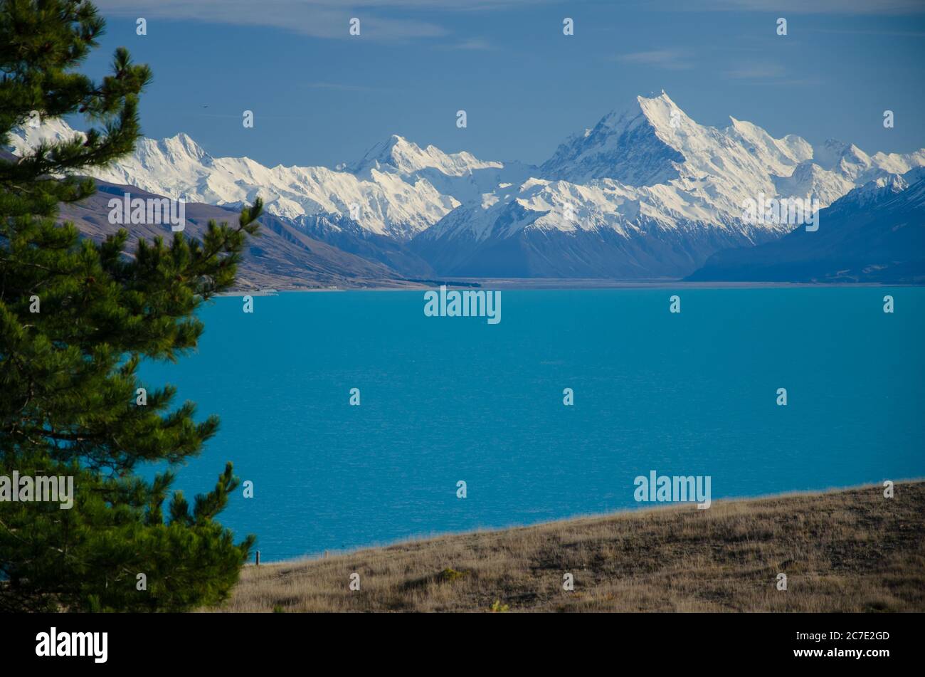 Distant view of Mount Cook across Lake Pukaki with tree on the left, South Island, New Zealand Stock Photo