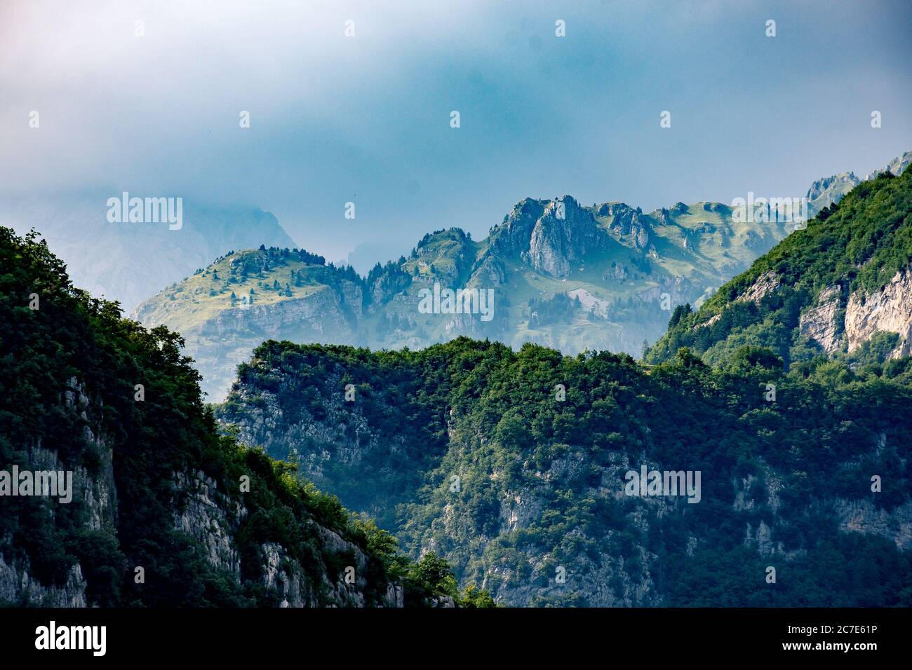 Fog shrouded mountains pine hi-res stock photography and images - Alamy