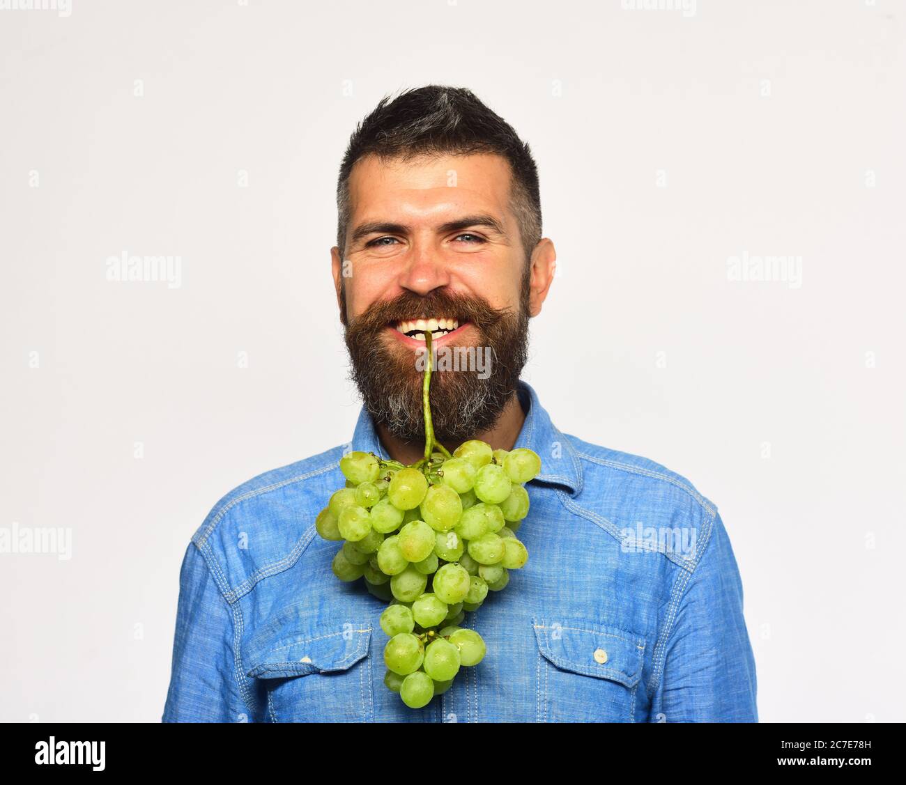 Winegrower with smiling face holds cluster of grapes in teeth. Farmer ...