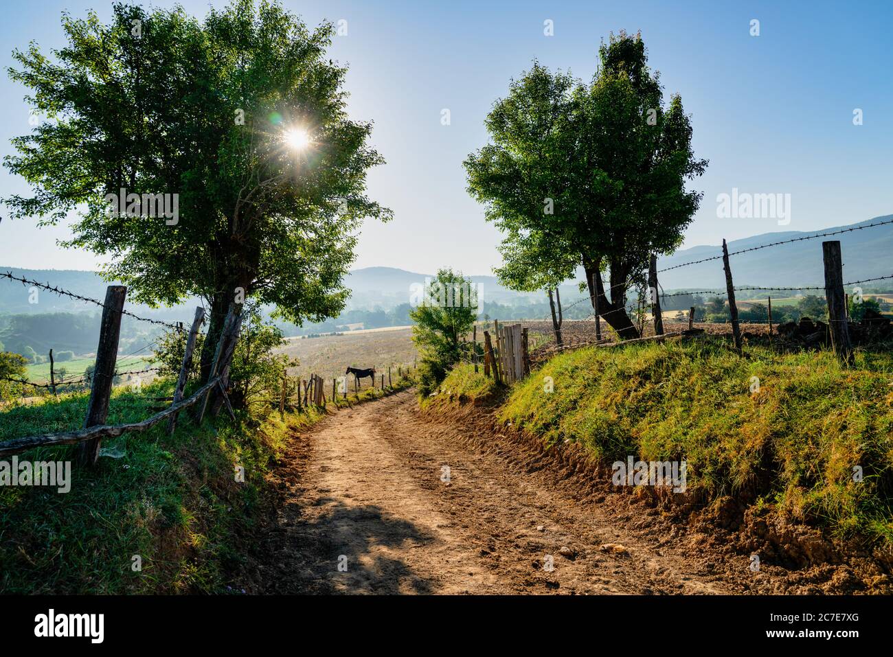 The road goes to the hills among trees and fields under in the morning. Daday, Kastamonu, Turkey Stock Photo