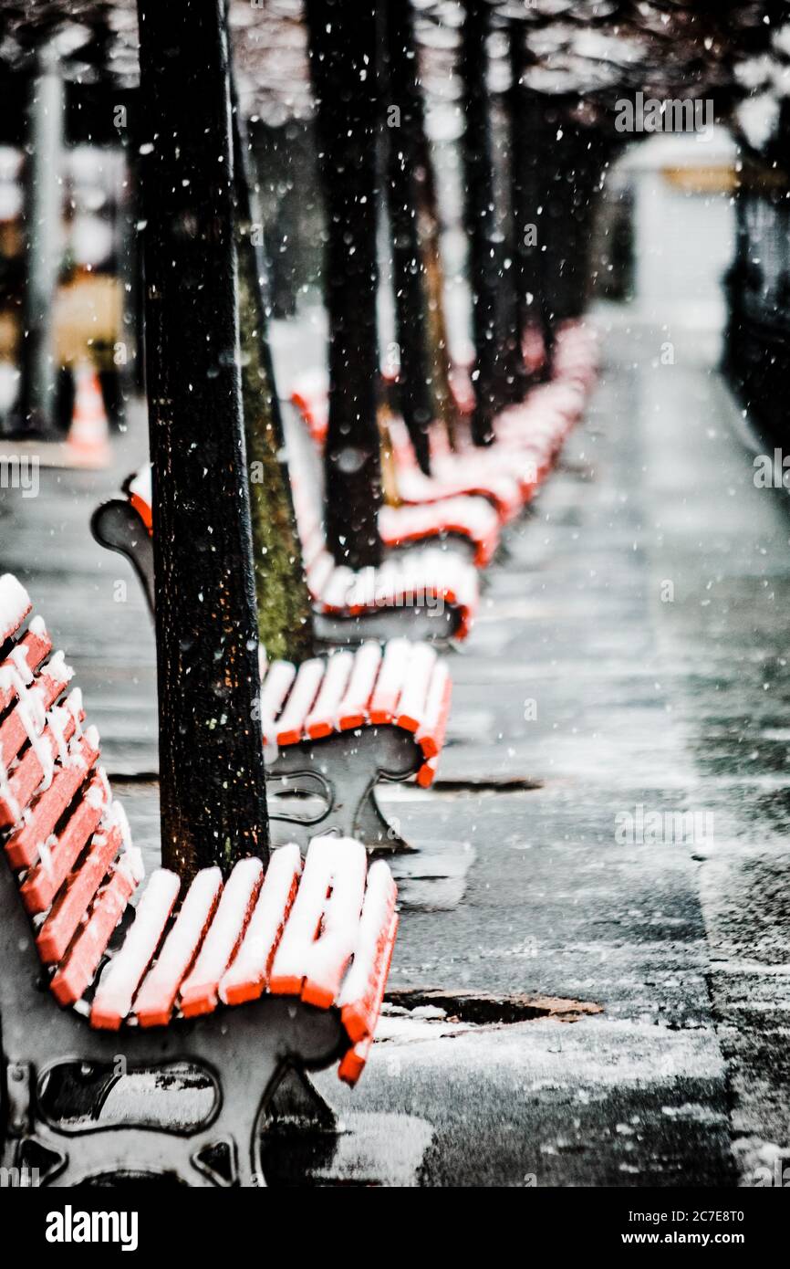 Vertical shot of beautiful snowflakes falling on the benches in a park ...