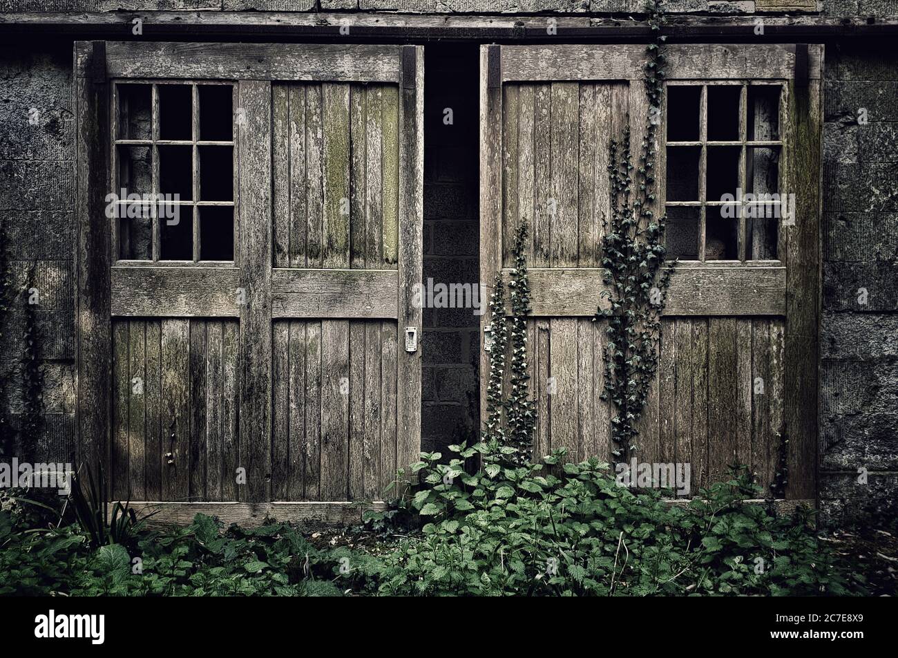 Old wooden doors overgrown with ivy leading through to a bricked up doorway in an old abandoned building Stock Photo