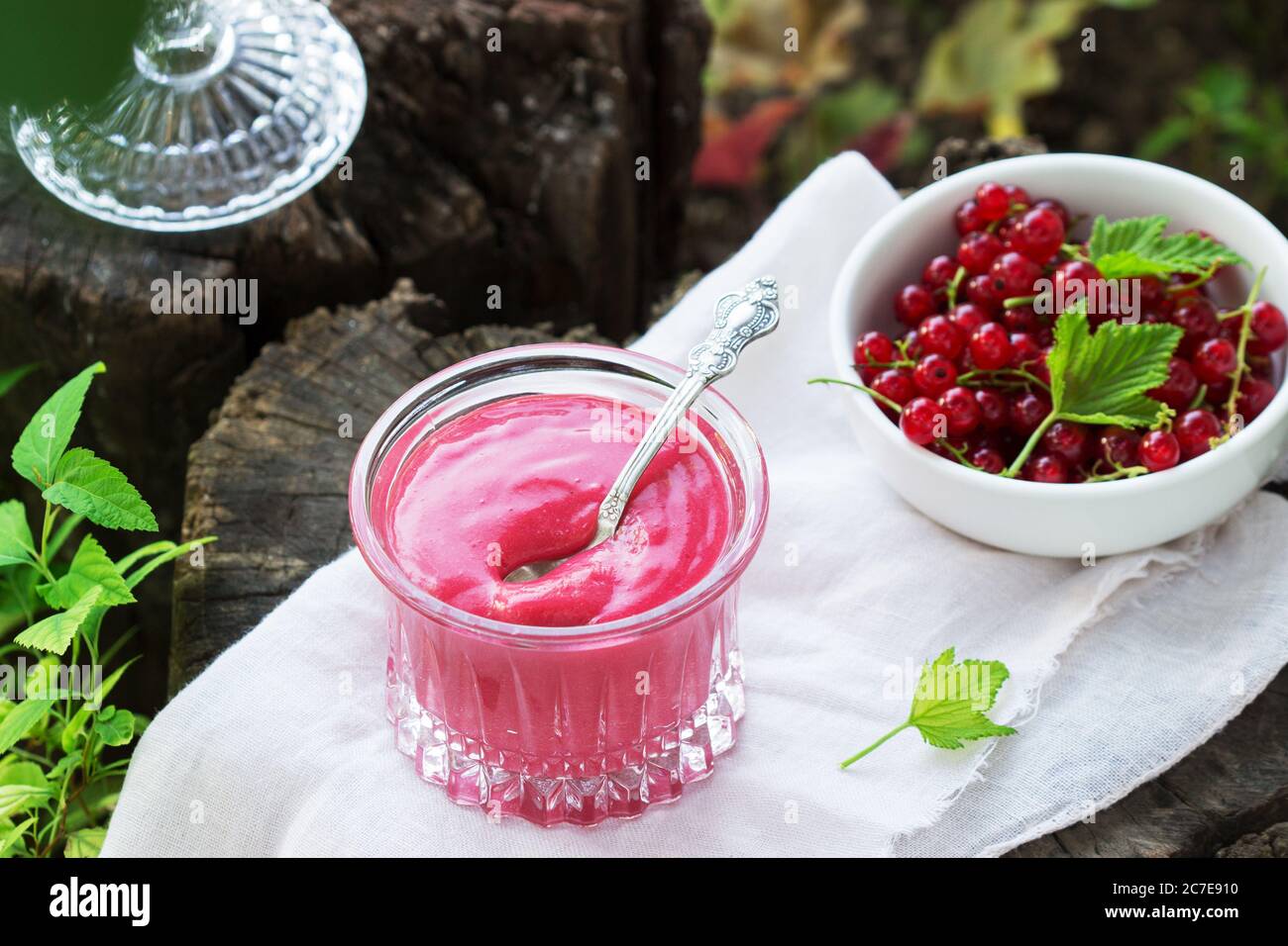 Red currant custard and currant berries on old stumps in the garden. Stock Photo