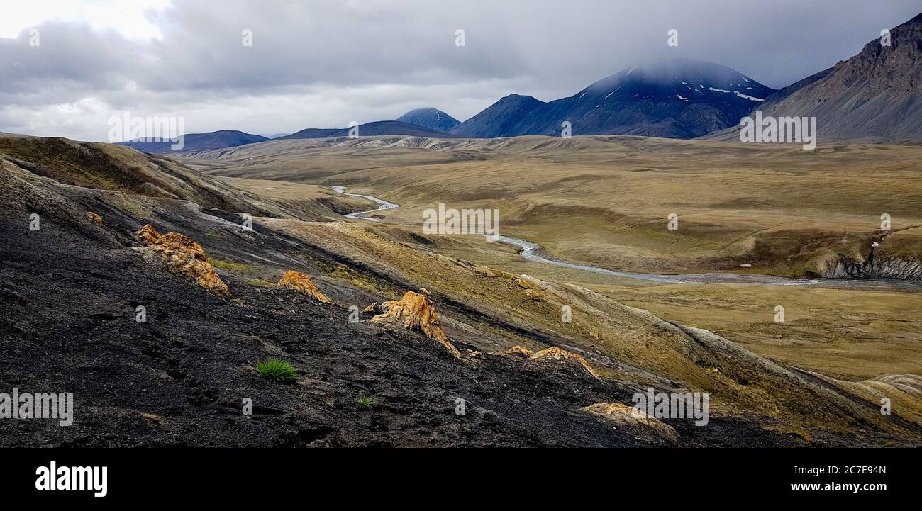 Fossilised forest in the Canadian Arctic Stock Photo