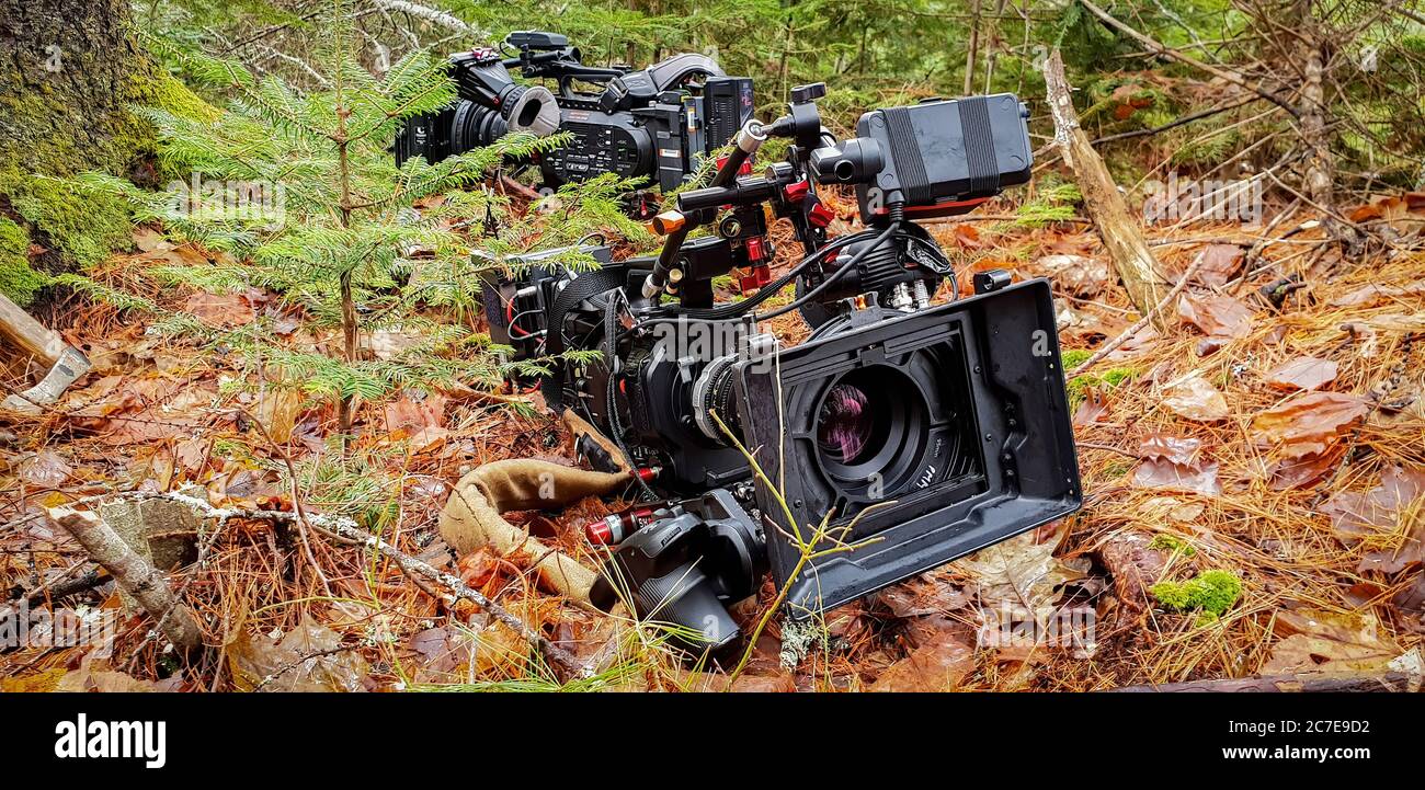 Two professional video cameras sat on a forest floor Stock Photo