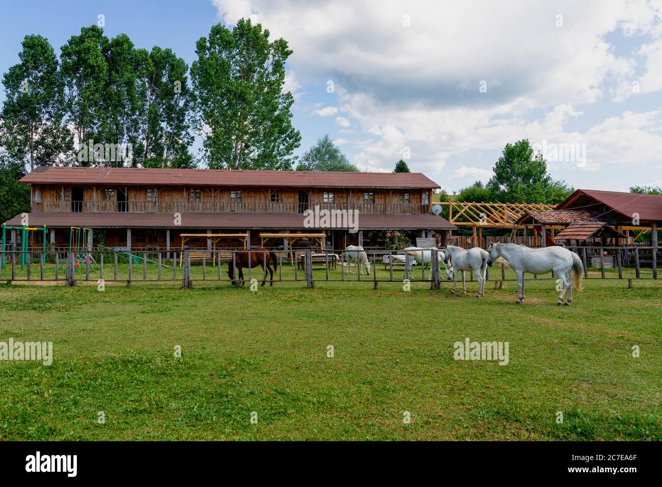 Lifestyle on the horse farm in the city of Daday. Horses graze right in front of the horse farm. Stock Photo
