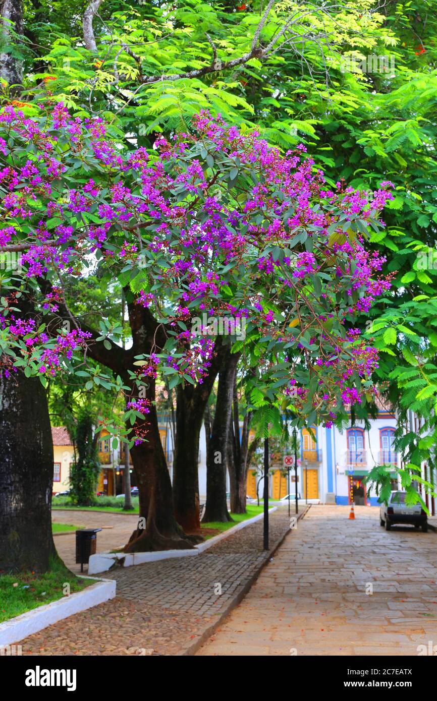 Beautiful town of Mariana, Minas Gerais Stock Photo - Alamy