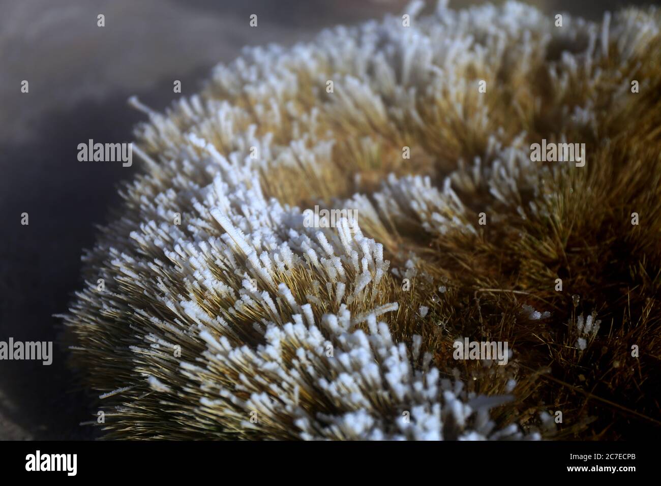 Valle de Rocas, Bolivia Stock Photo - Alamy