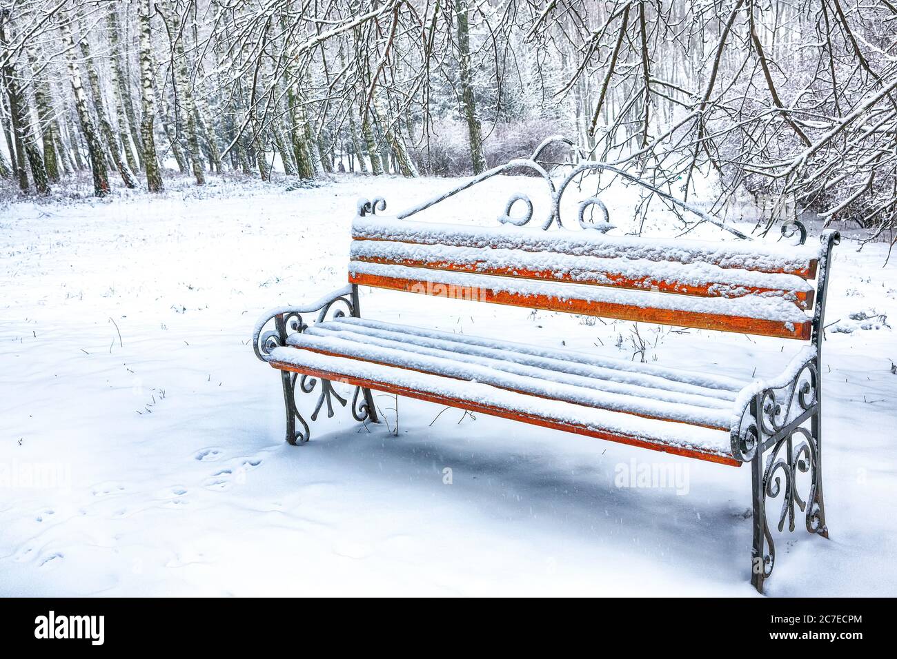 Park bench and trees covered by heavy snow. Lots of snow Stock Photo ...