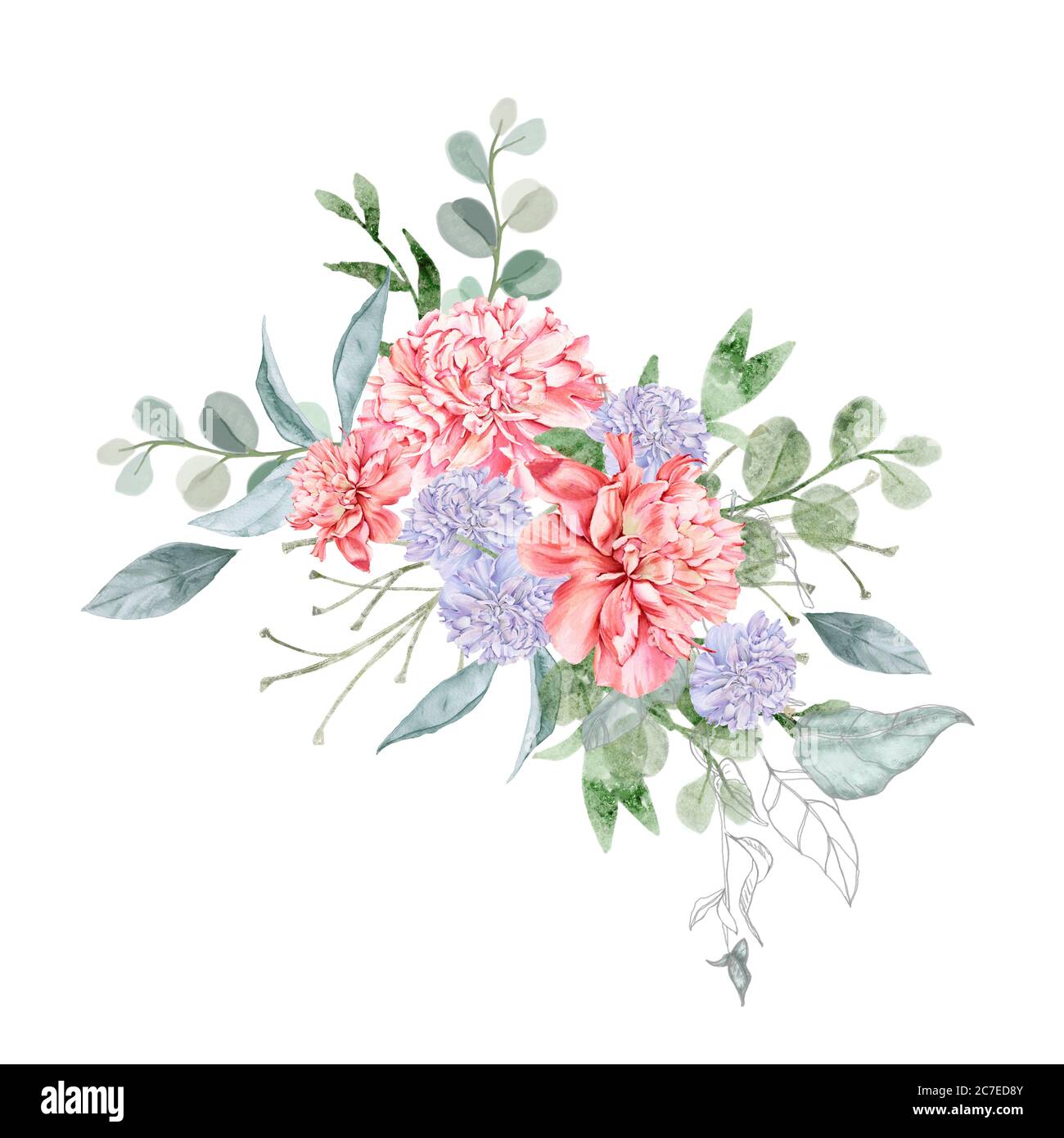 Bouquet of peony flowers. Isolated drawing. Stock Photo