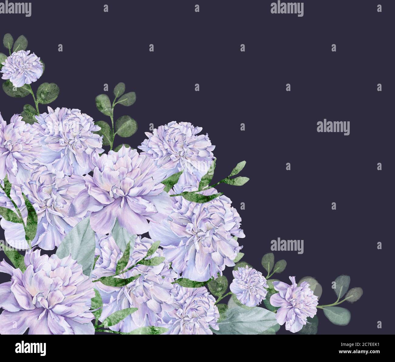 Bouquet of peony flowers. Isolated drawing Stock Photo - Alamy