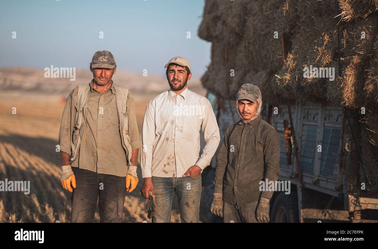 Ankara, Turkey: July 14, 2020: A portrait of agricultural laborers, they are stacking bales of straw after harvest. Stock Photo