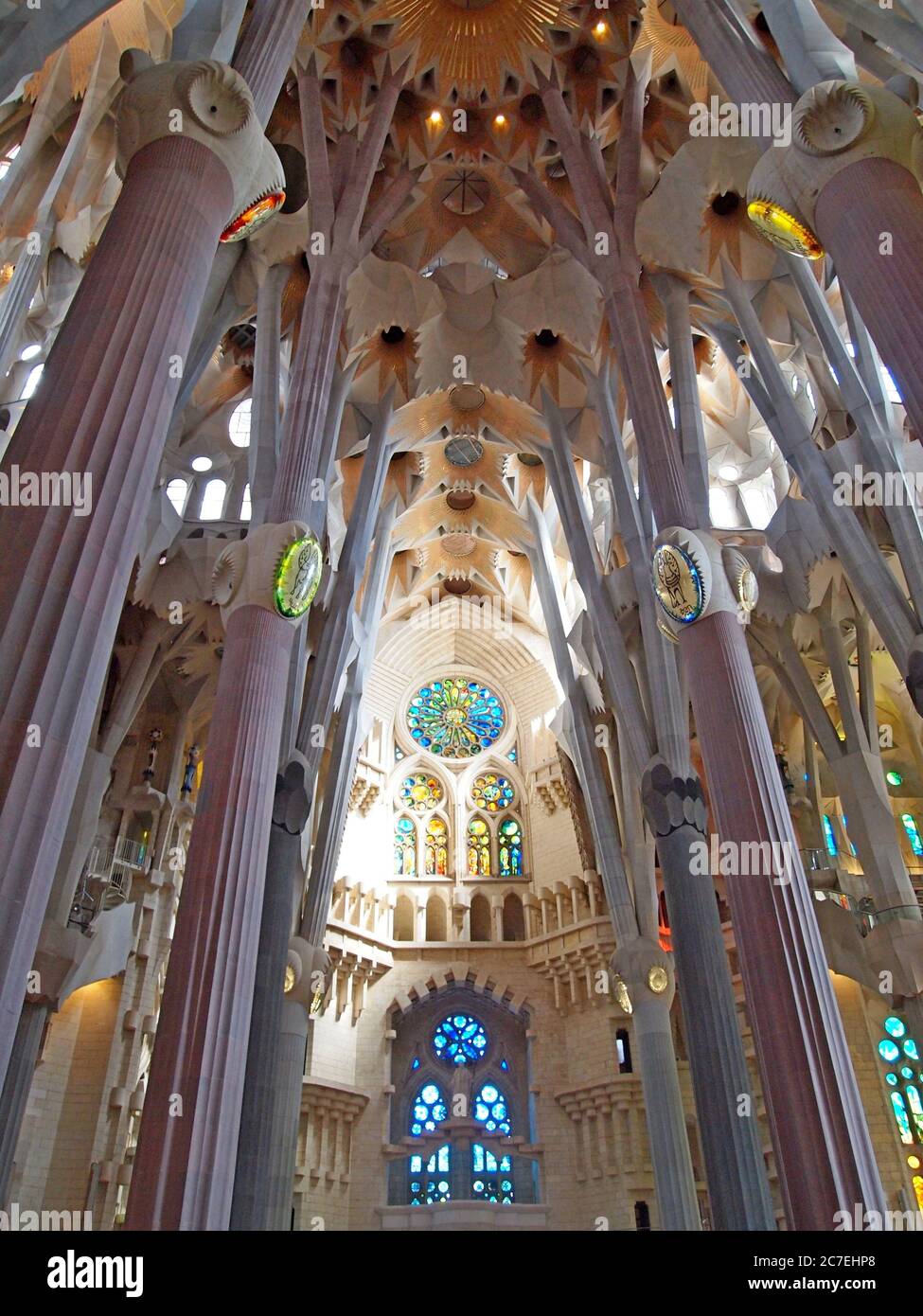 Low angle beautiful shot of columns and the ceiling in Sagrada Familia ...