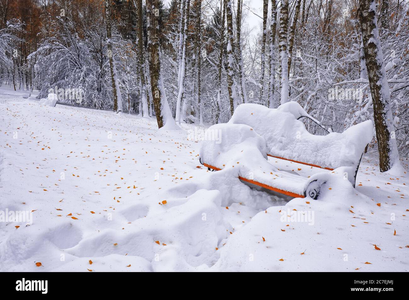 Park bench and trees covered by heavy snow. Lots of snow Stock Photo ...