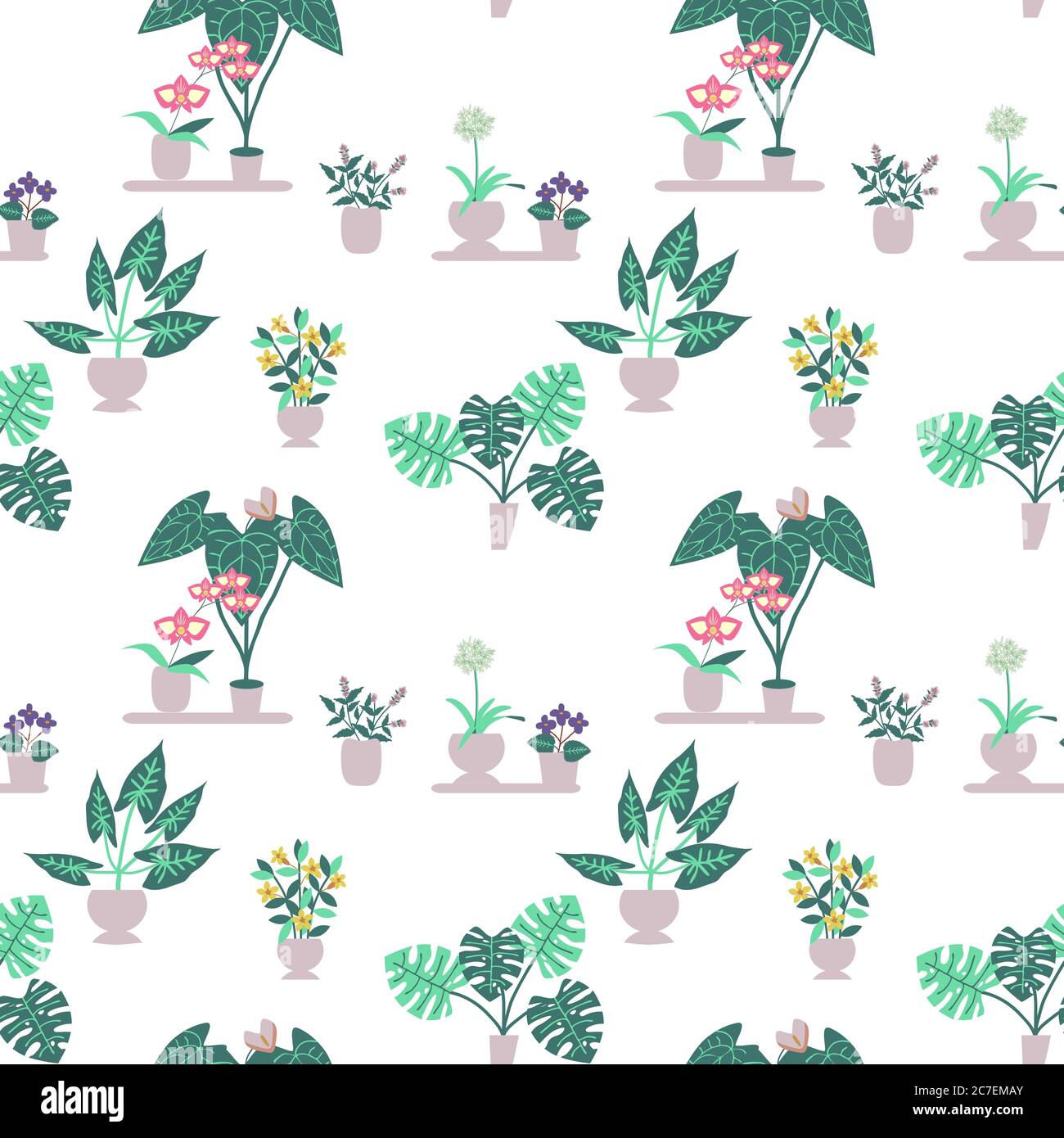 Seamless house plants vector pattern Stock Vector