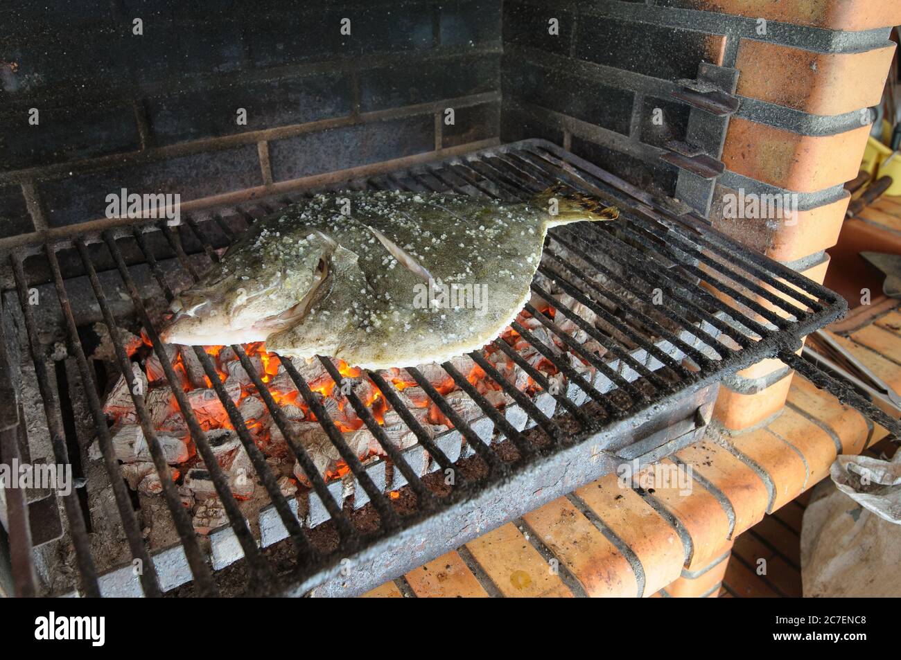 turbot on the grill or barcebue Stock Photo