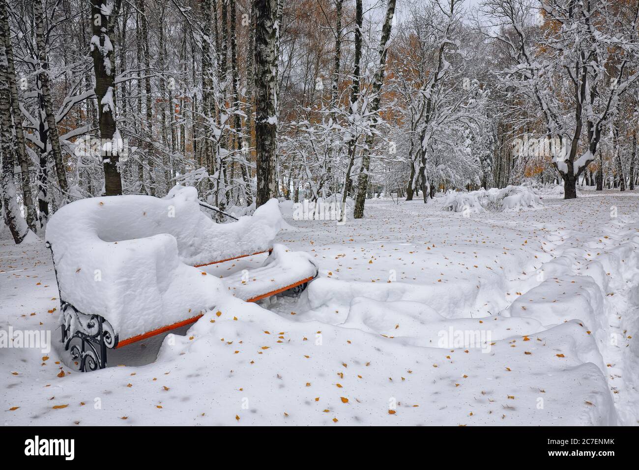 Park bench and trees covered by heavy snow. Lots of snow Stock Photo ...
