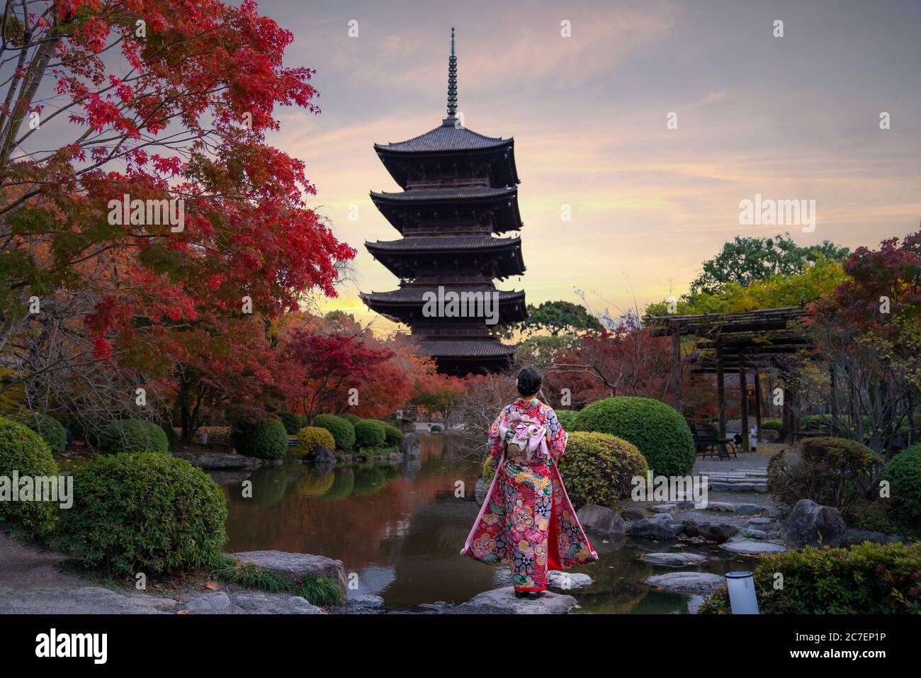 Young Japanese girl traveller in traditional kimino dress standing in Toji temple with wooden pagoda and red maple leaf in autumn season in Kyoto, Jap Stock Photo