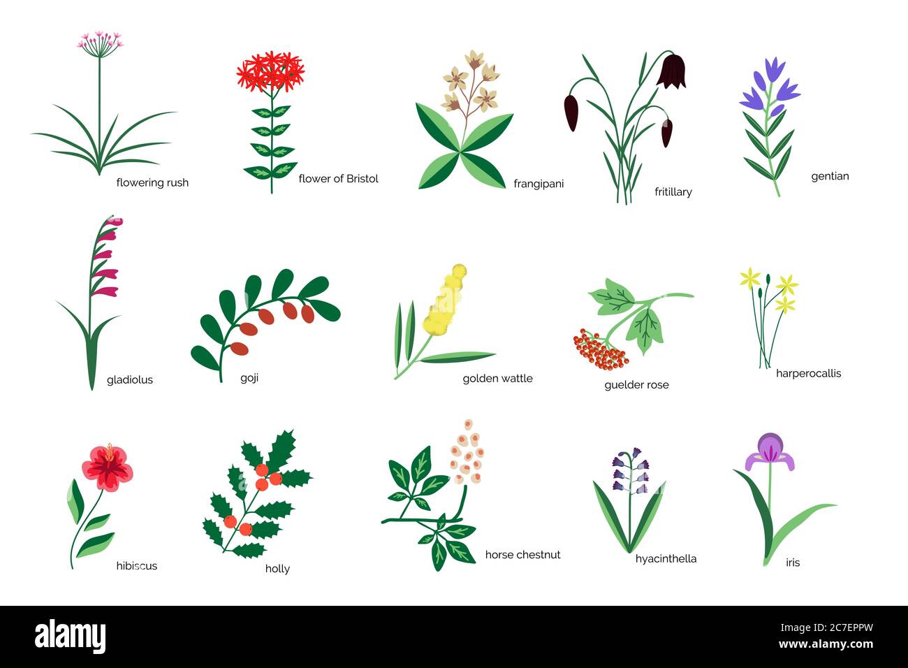 Isolated plants simple icons collection Stock Vector